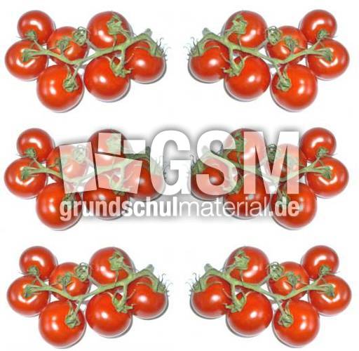 Tomaten-6x7.jpg